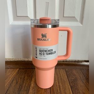 Stanley 40 oz quencher Tumbler exclusive Melon